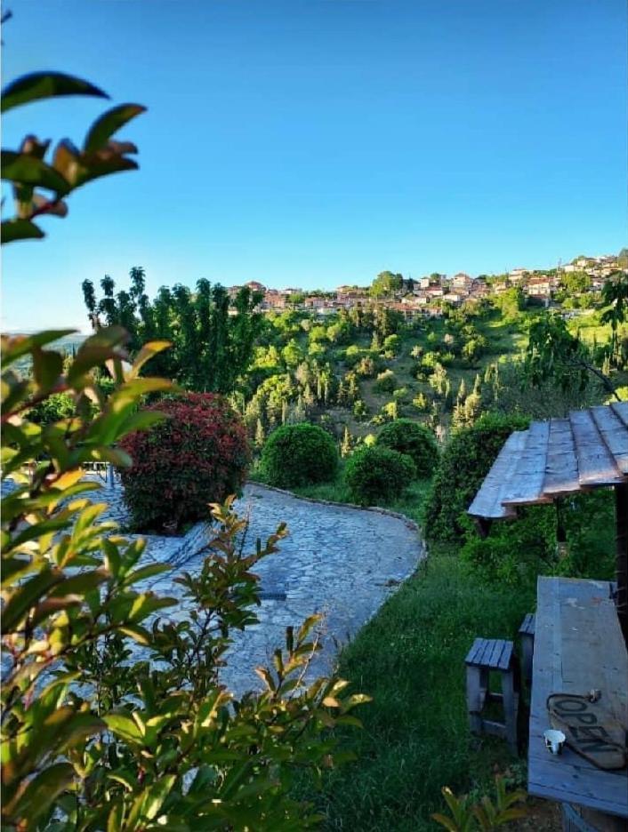 Agnanti Zitsas Hotel Extérieur photo